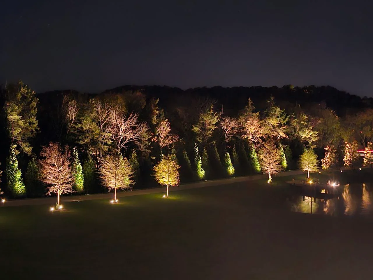 Nighttime landscape with uplighting on trees and shrubs creating warm golden illumination
