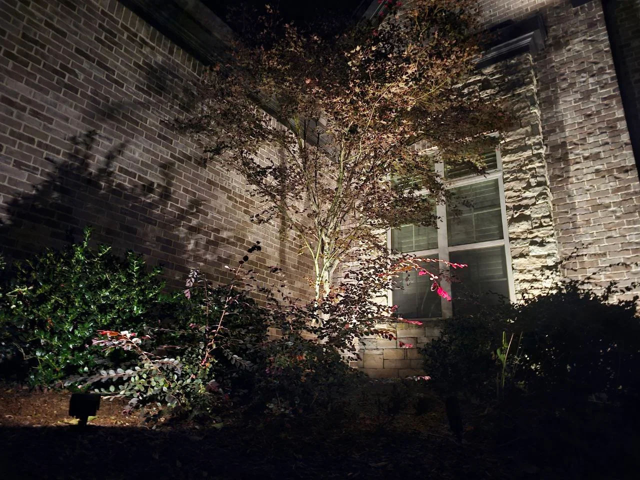 Nighttime courtyard with uplighting on tree and brick walls, accent lighting on landscaping
