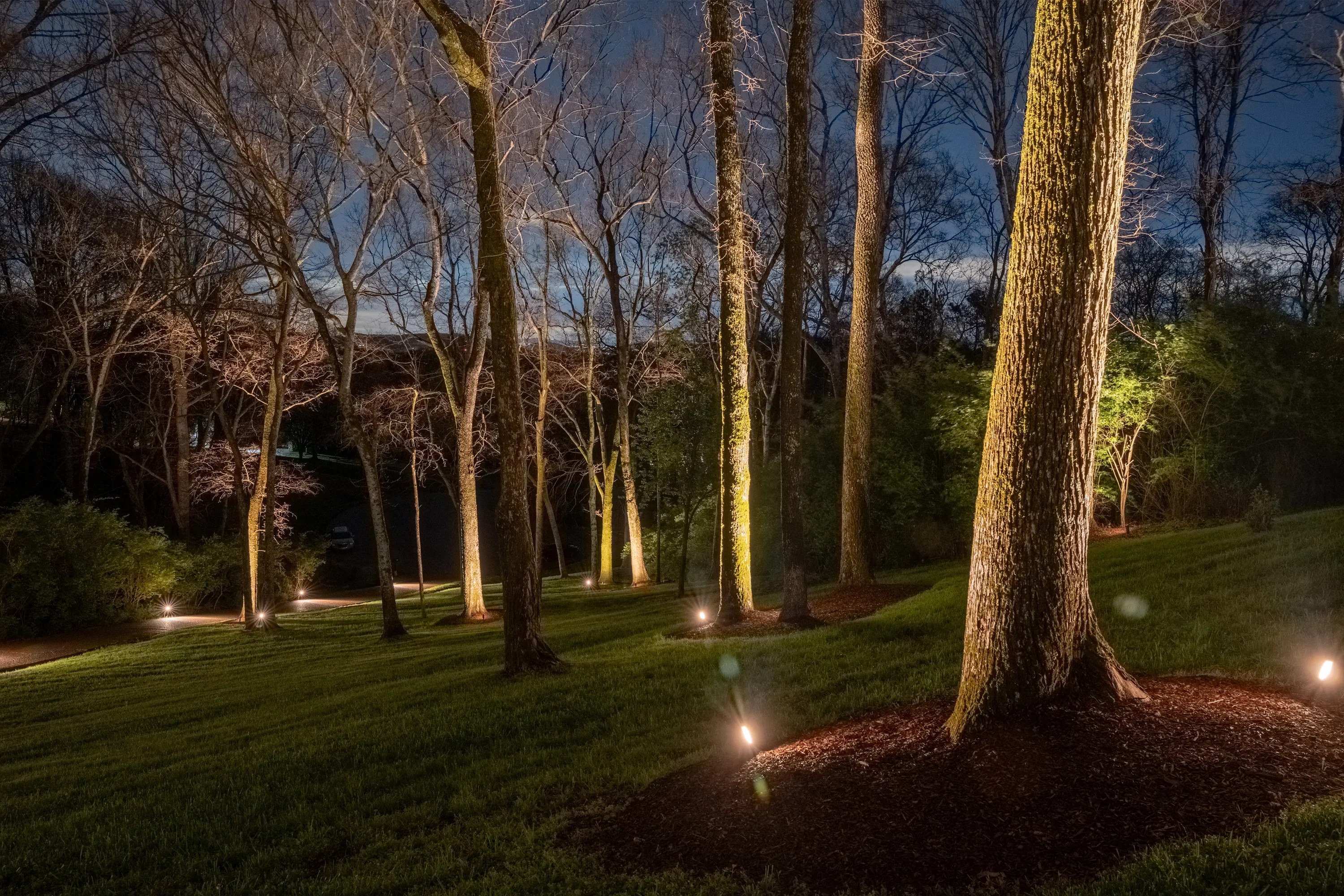 A Franklin, TN residential home at night with low-voltage LED uplighting on mature trees and pathway lights lining the front walkway. The front elevation is lit from ground level, showing the roofline and landscaping in warm white light against a dark sky.