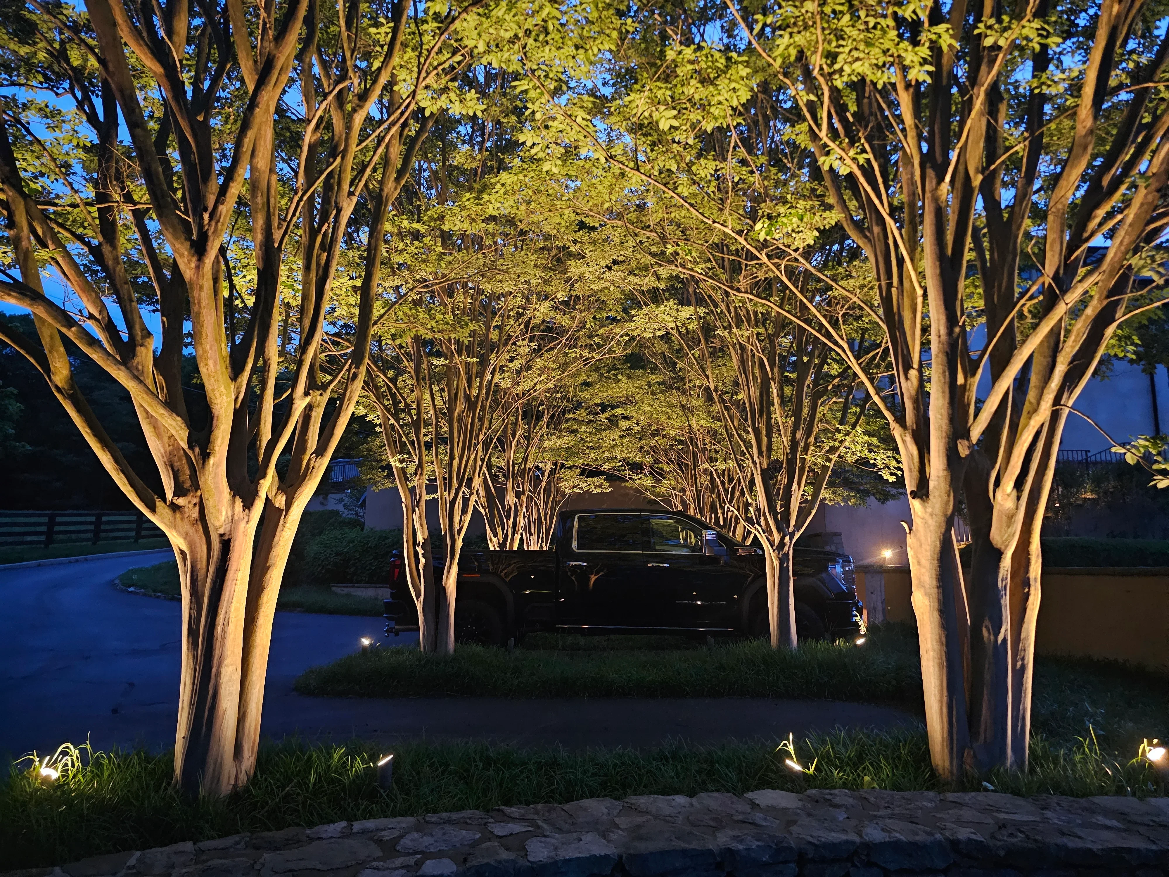 Professionally installed low-voltage landscape lighting illuminating a residential pathway, garden beds, and tree canopy at a Franklin, TN home after dark. Warm light accents the home's front facade and guides a stone walkway from the driveway to the front door.